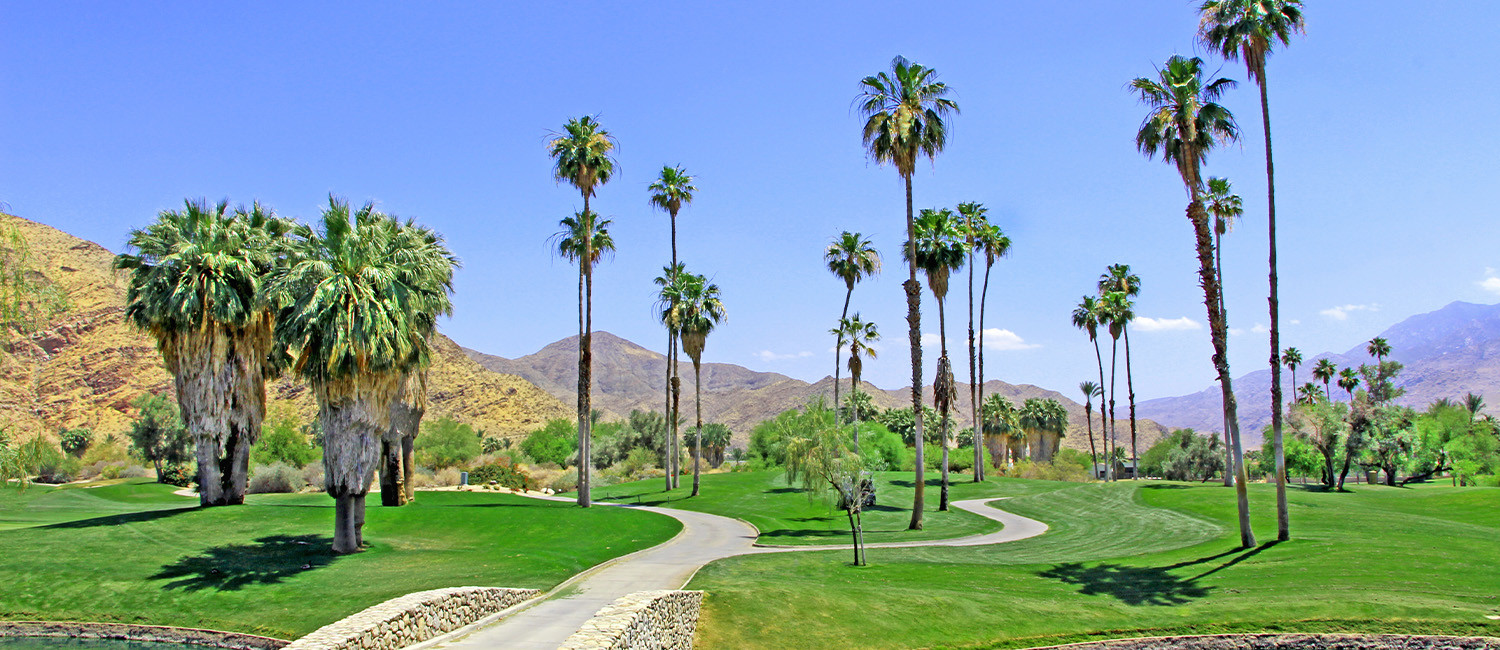 Things To Do In Palm Springs